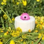 cacioricotta presidio slowfood
