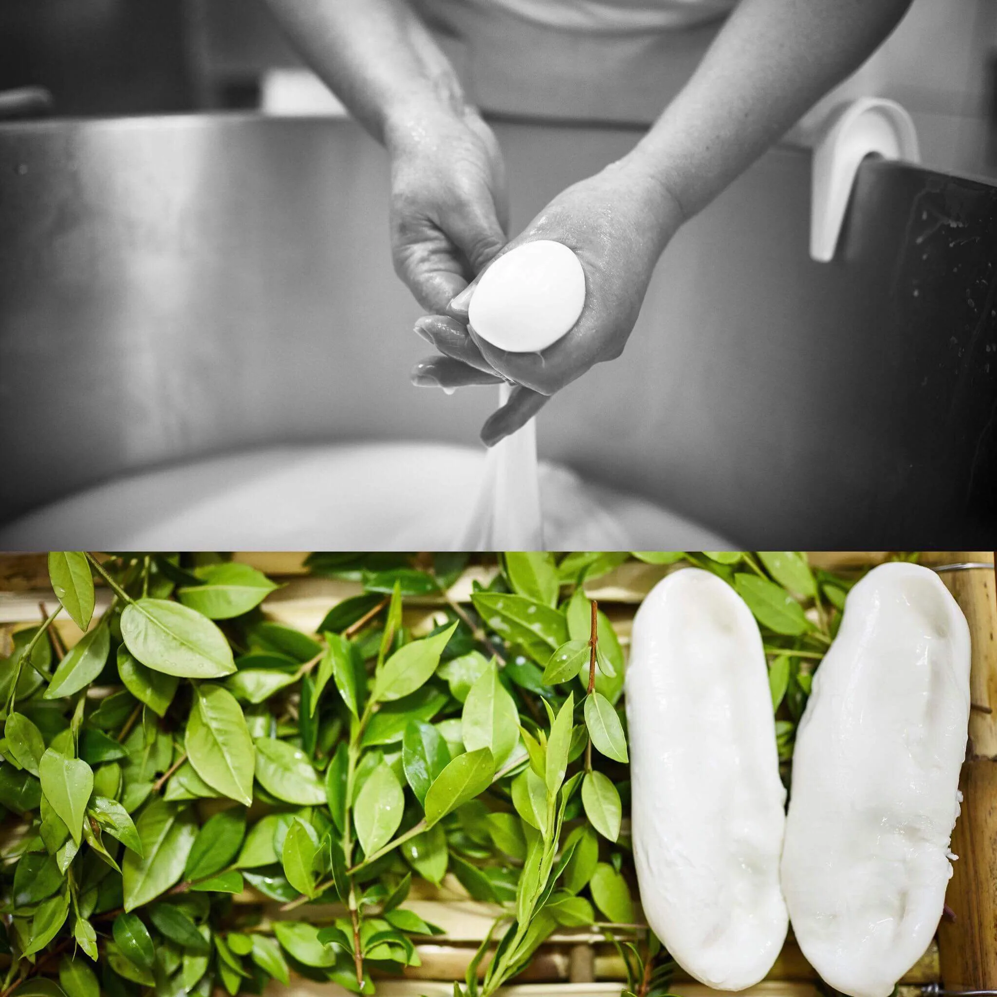 mozzarella nella mortedda presidio slowfood